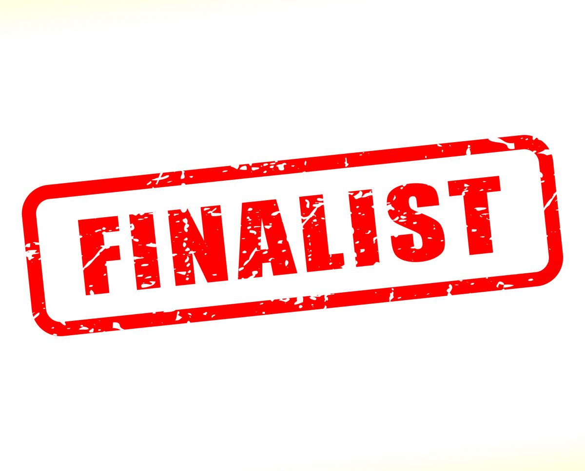Vision Excellence Awards –   Congratulation to our 2019 finalists !